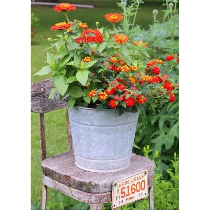 Mano Verde - Jardin en boite -
