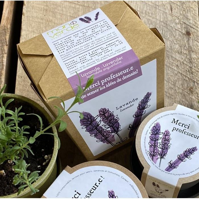 Mano Verde - Jardin en boite -