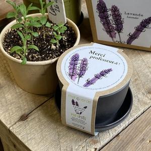 Jardin Minipot (3'') en fibres recyclées -