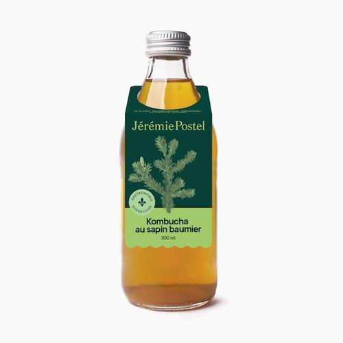 Kombucha au sapin baumier