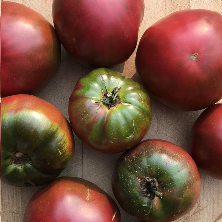 graines tomate 'Noire de Crimée