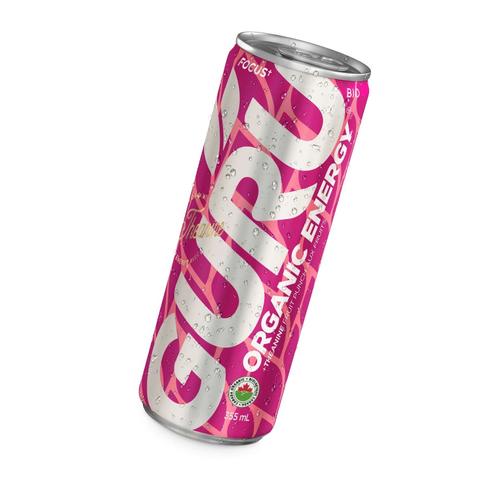 Guru GURU Énergie Bio Théanine punch aux fruits 355ml Santé en vrac