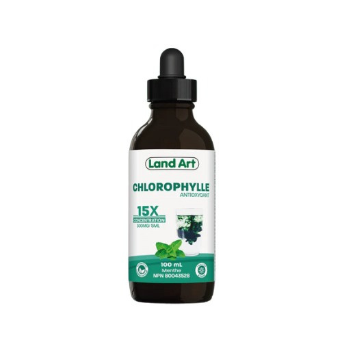Landart - Chlorophylle 15X menthe 100 ml | Sant en vrac