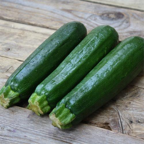 Courgette jaune - Bio - Jardins de l'écoumène