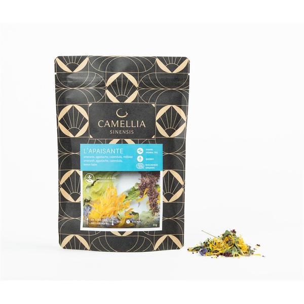 Cuillère pour le thé – Inox – Camellia sinensis