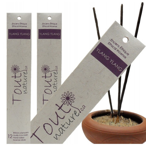 Bâtons D'encens HEM – Parfum Ylang Ylang – Tube Neuf