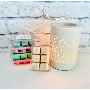 Cubes de cire pour diffuseur - Sapinage