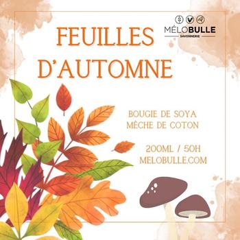 Chandelle Fruits du verger 200ml -