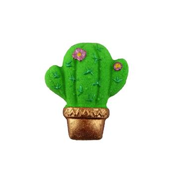 Bombe de bain cactus