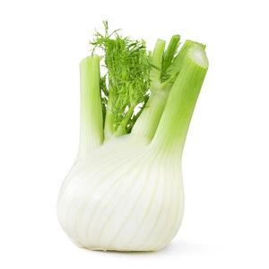 Fenouil Bio