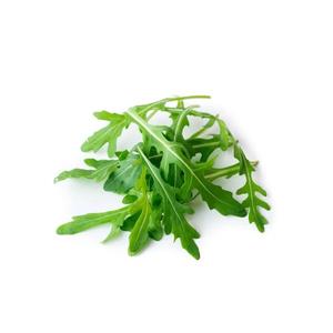 Roquette Bio