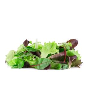 Mesclun Abri Végétal  Bio