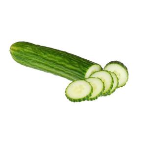 Concombre ANGLAIS  Bio