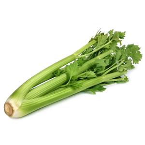 Céleri Bio
