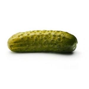 Concombre (Cornichon) Bio