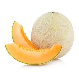 Cantaloup Bio