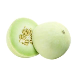 Melon Miel Bio