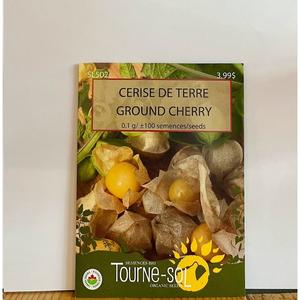 Semence CERISE DE TERRE Bio