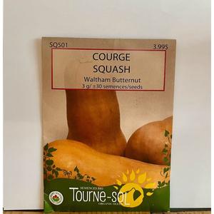 Semence Courge BUTTERNUT Waltham Bio