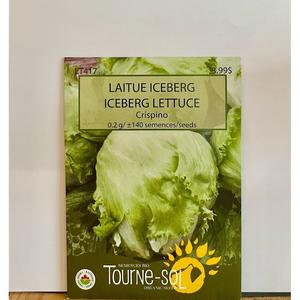 Semence Laitue Iceberg Crispino Bio