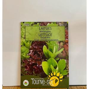 Semence Laitues Mélangées  Bio