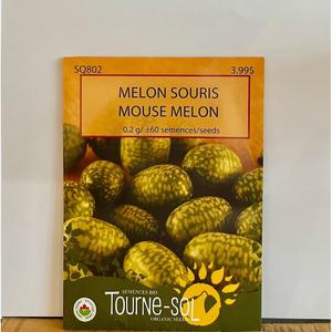 Semence Melon Souris Bio