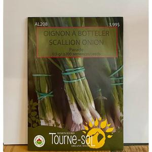Semence Oignon à Botteler Bio