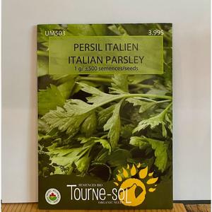 Semence Persil Italien Bio