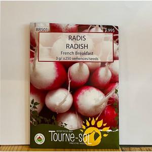 Semence Radis French Breakfest Bio