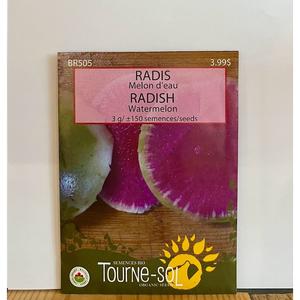 Semence Radis Melon Bio