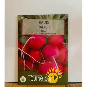 Semence Radis Raxe Bio