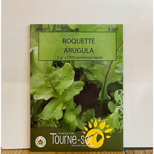 Semence Roquette Bio