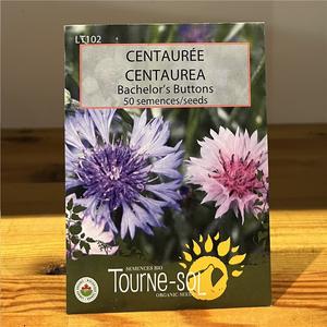 Semence CENTAURÉE Bio