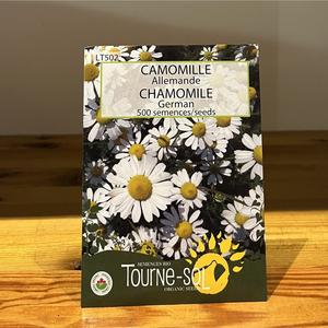 Semence CAMOMILLE Bio