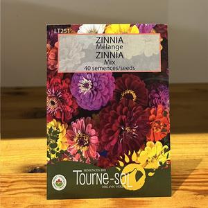 Semence ZINNIA Bio