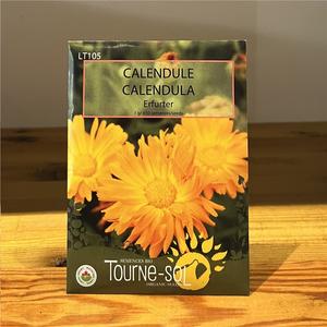 Semence CALENDULE Bio
