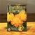 Semence CALENDULE Bio
