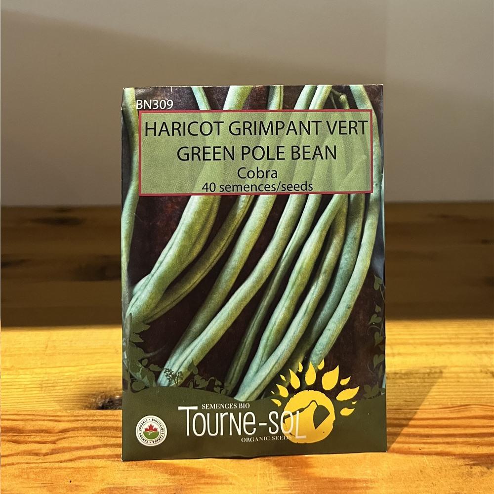 Semence Haricot Grimpant VERT COBRA Bio