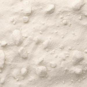 Lait de Coco en Poudre Bio