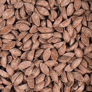 Pastille Chocolat Lait 37% Bio Équitable
