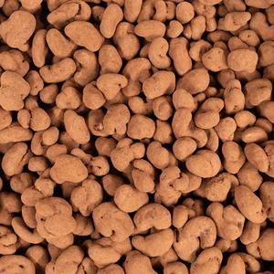 Cajous Grillés Équitable au Chocolat au Lait