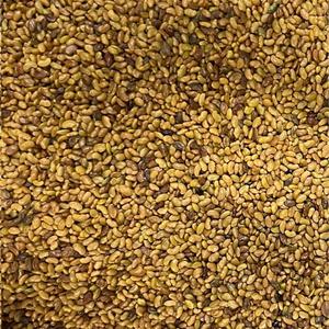 Org. Alfalfa sprout