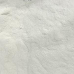 Bicarbonate de Sodium Sans Alun