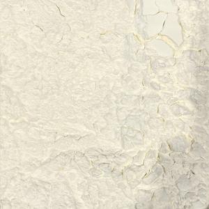 Organic Corn starch