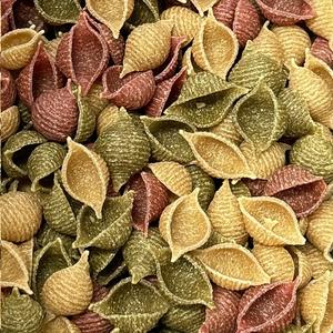 Coquilles Légumes Bio