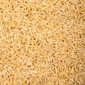 Orzo Nature