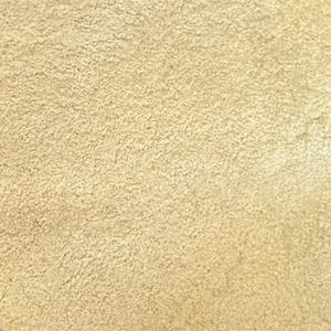 Psyllium Bio