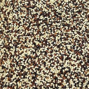 Quinoa 3 Couleurs Bio