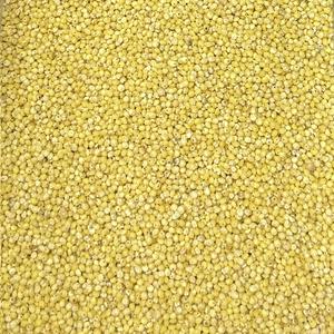 Millet Décortiqué Bio