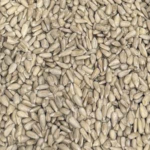 Graines de Tournesol Bio